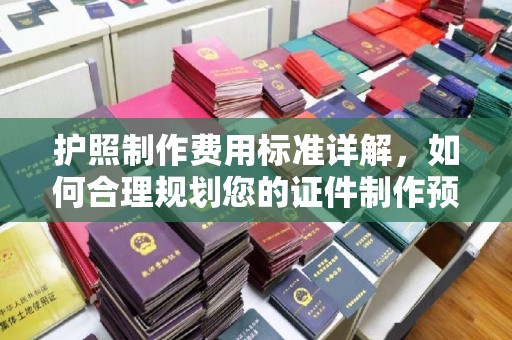 岳塘护照制作费用标准详解，如何合理规划您的证件制作预算